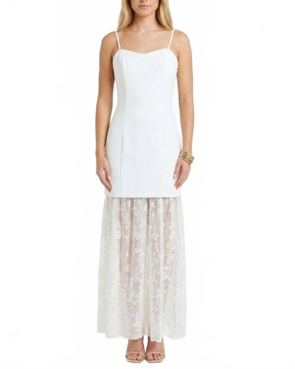 NEW TCEC clockwork sheer embroidered lace dress in ivory